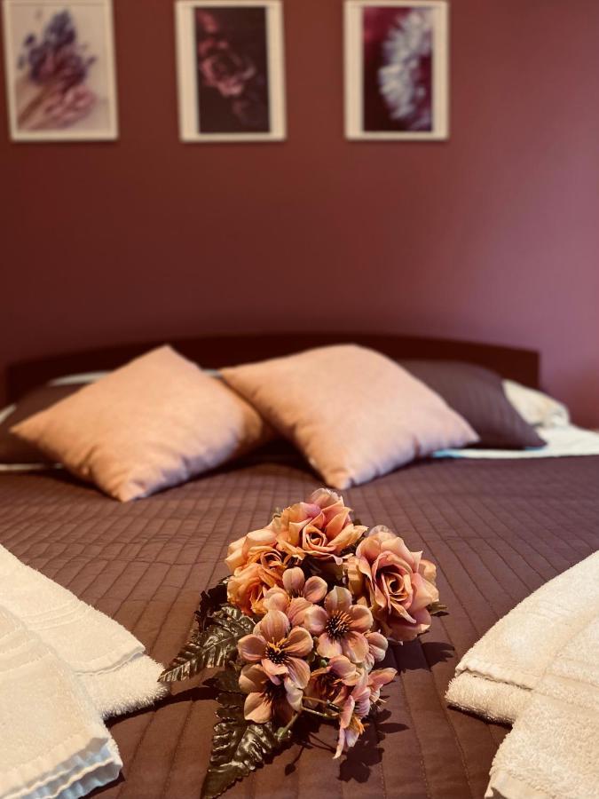 Dreams In Rome - Colosseum Apartment エクステリア 写真