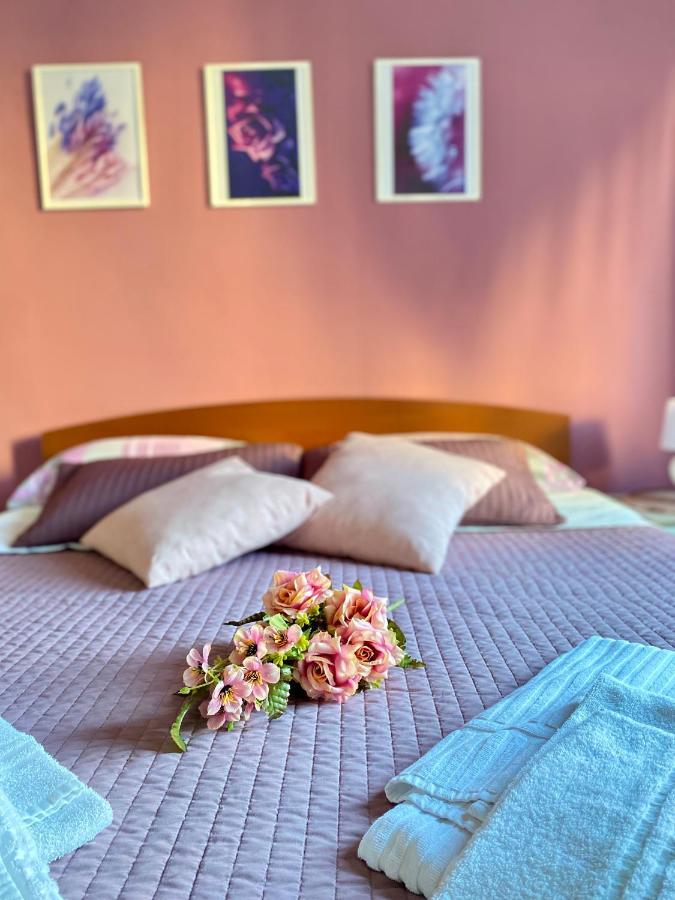 Dreams In Rome - Colosseum Apartment エクステリア 写真